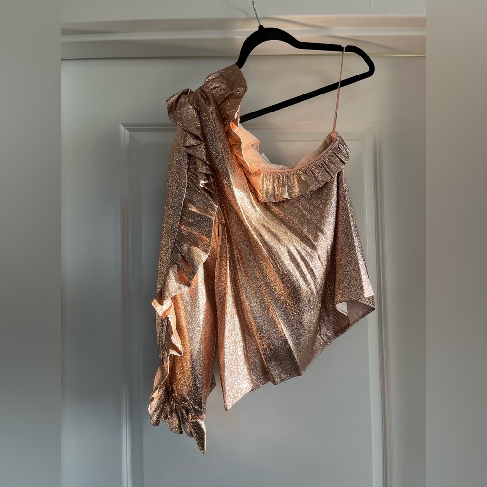Ulla Johnson One Shoulder Ruffle Top - Picture 6 of 11